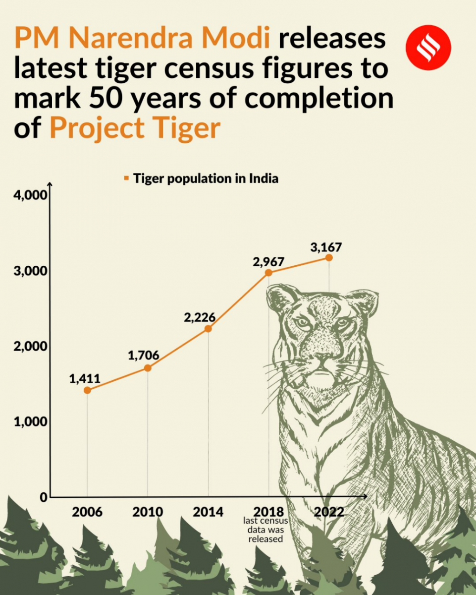 International Tiger Day: As tiger populations increase, so do conflicts  with humans - ABC News