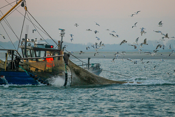 Project to track small fishing vessels pending since 26/11